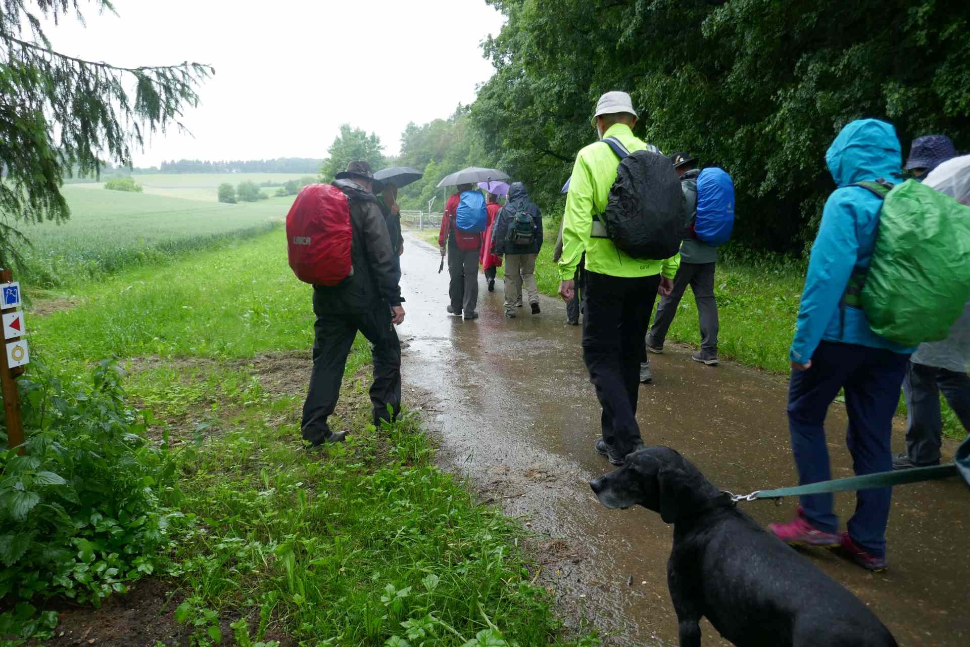 05 Albschäferweg - 2 Tages Wanderung im Juni